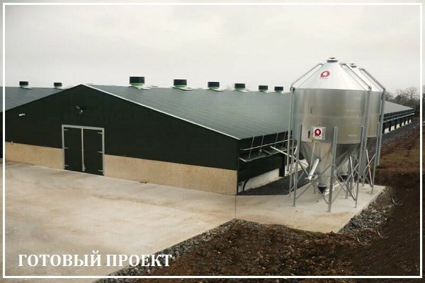 Этапы возведения птицефабрики от завода ВелесТент-кмс